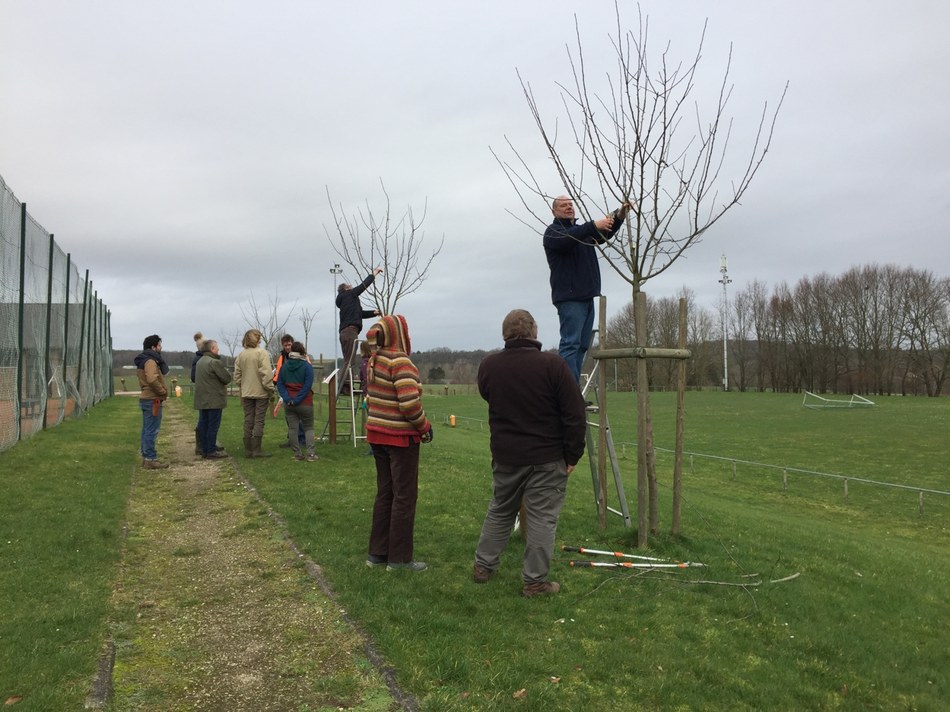 2. photo formation taille arbres fruitiers