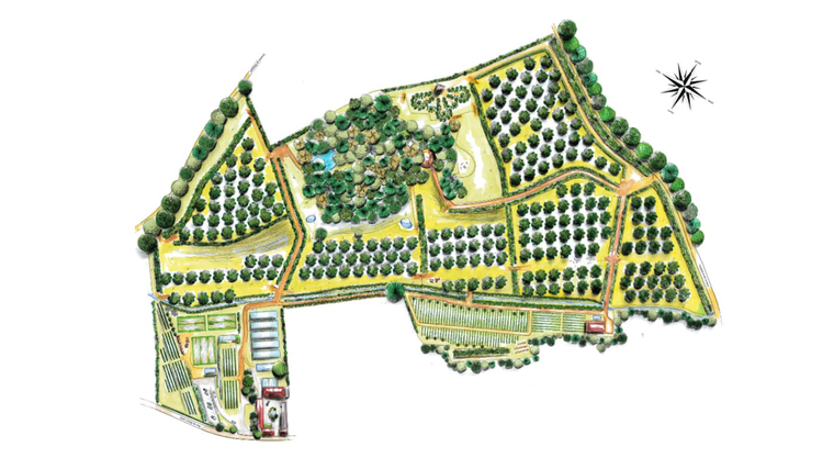 Le plan de la Ferme du Mont-Lassy avec ses arbres fruitiers et ses haies.
