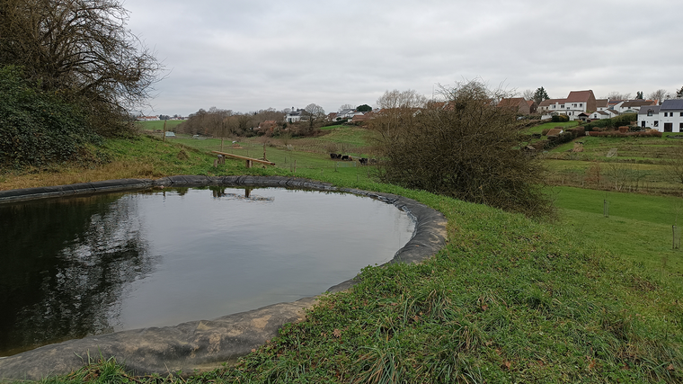 Un plan d'eau installé sur le domaine qui favorisera la biodiversité, amenant une faune et une flore propres aux milieux humides.